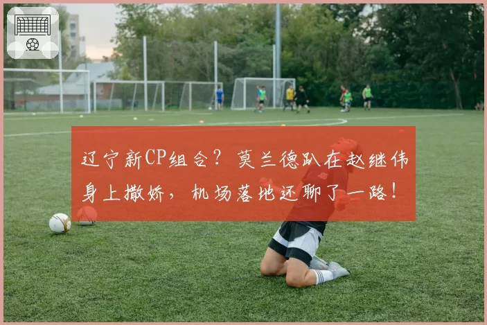 辽宁新CP组合？莫兰德趴在赵继伟身上撒娇，机场落地还聊了一路！